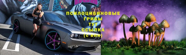 сатива Балахна