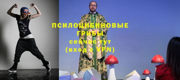 сатива Балахна