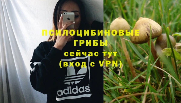 стафф Баксан