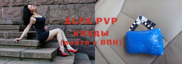 сатива Балахна