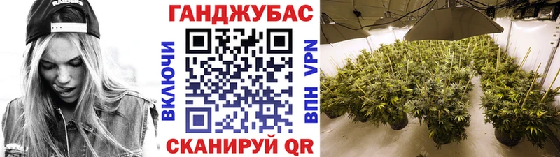 купить блэк спрут зеркало Бошки марихуана план Козельск